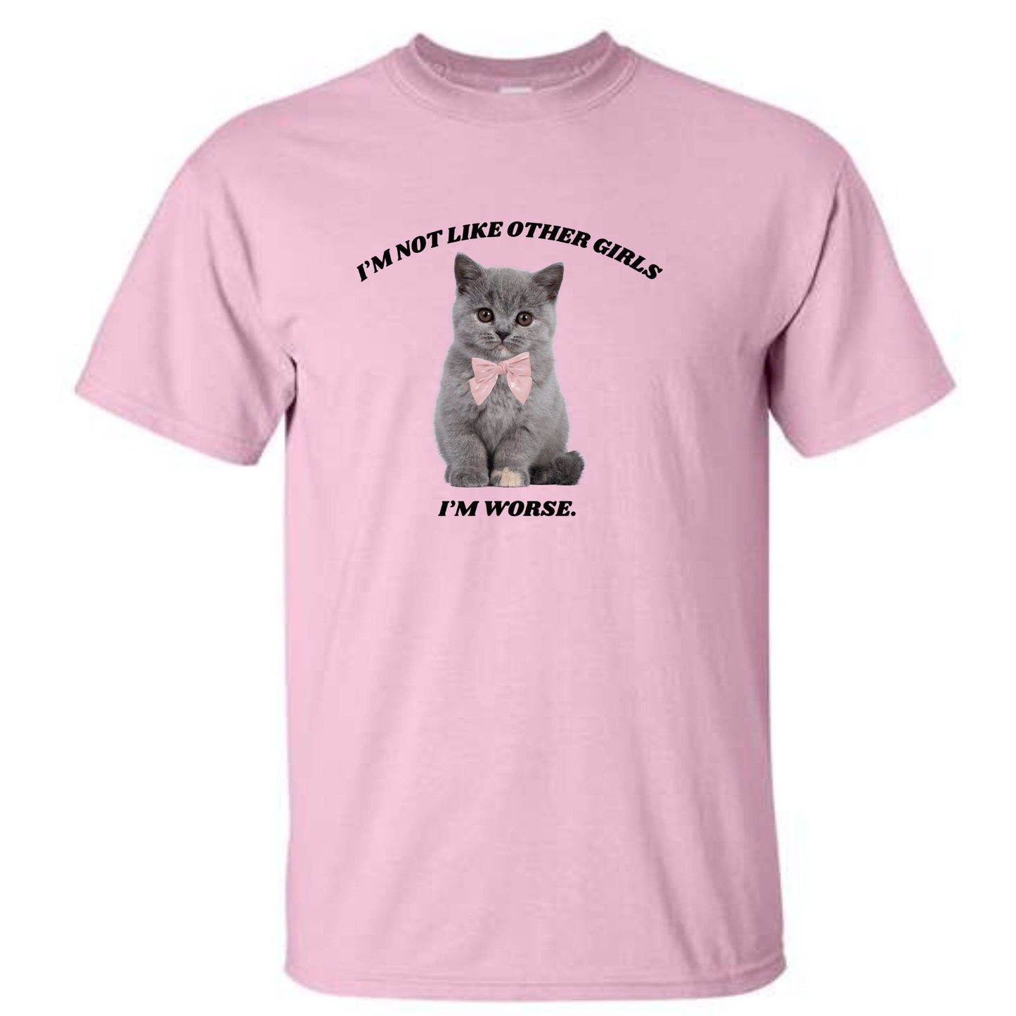 I'm Not Like Other Girls I'm Worse T-Shirt or Crewneck Sweatshirt