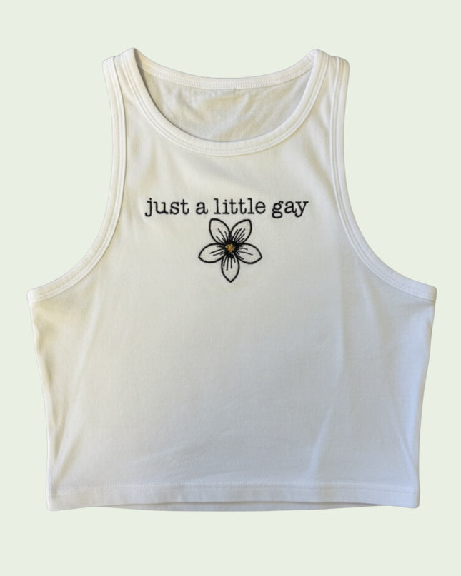 A white crop top with the text "Just a little gay" printed on it.