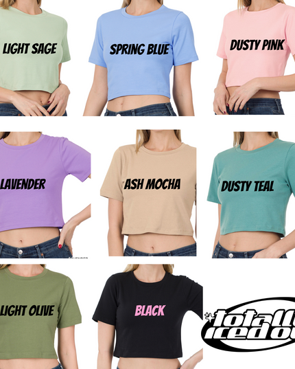 Not Flirting Just Hot and Talking Embroidered Crop Top