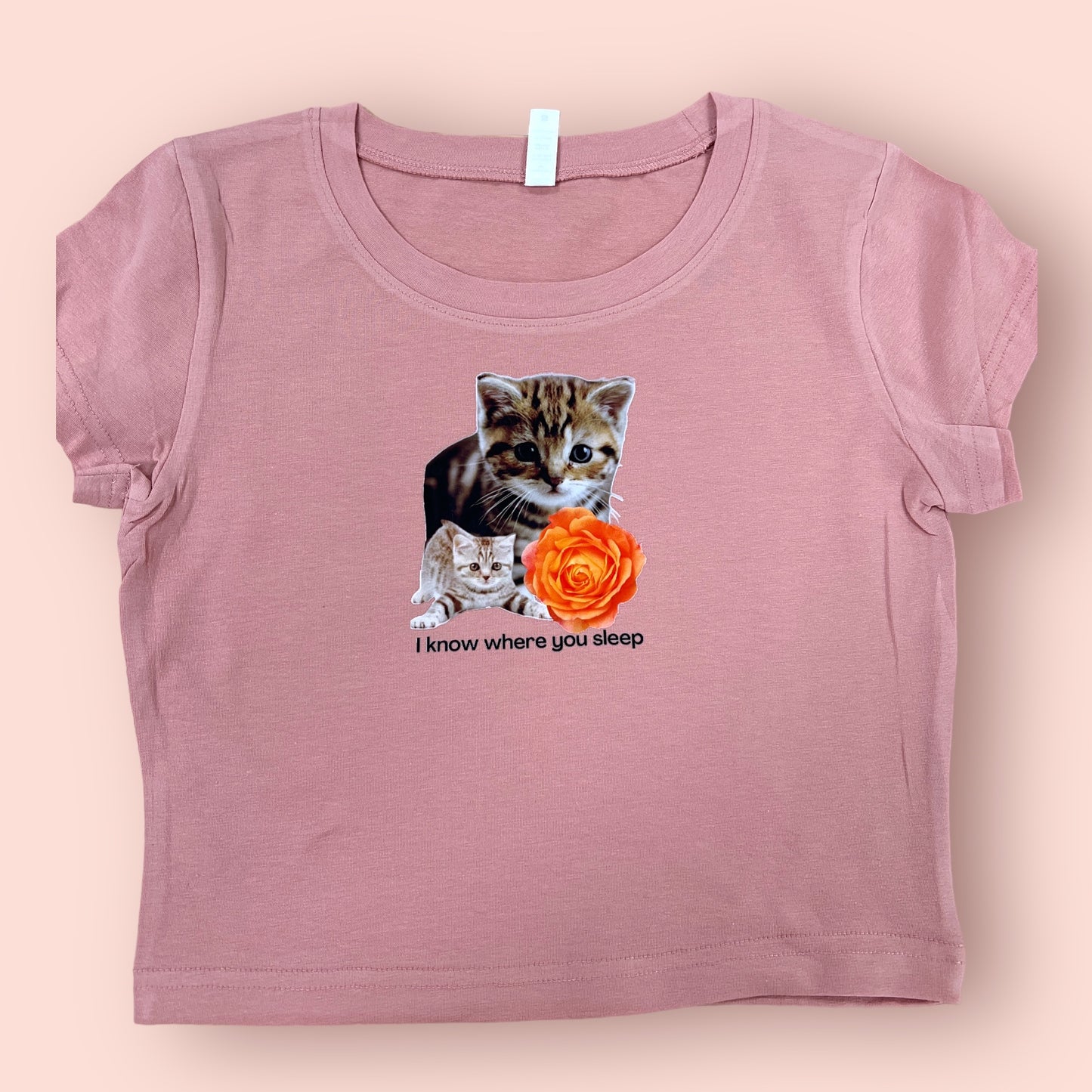 I Know Where You Sleep Cat Crop Top